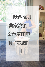 陕西陇县曹家湾镇：金色麦田里的“志愿红”