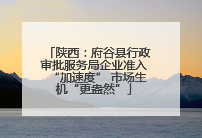 陕西：府谷县行政审批服务局企业准入“加速度” 市场生机“更盎然”