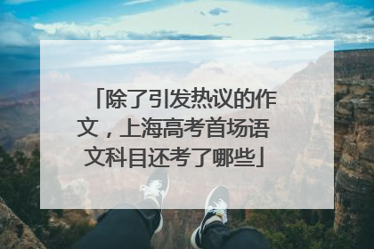 除了引发热议的作文，上海高考首场语文科目还考了哪些