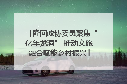 隆回政协委员聚焦“亿年龙洞” 推动文旅融合赋能乡村振兴