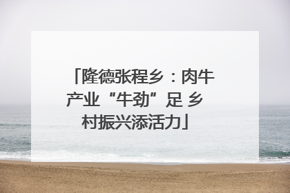 隆德张程乡：肉牛产业“牛劲”足 乡村振兴添活力