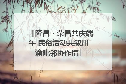 隆昌・荣昌共庆端午 民俗活动共叙川渝毗邻协作情