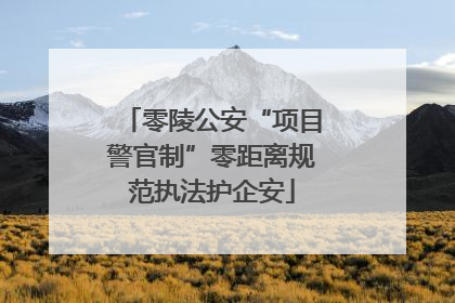 零陵公安“项目警官制”零距离规范执法护企安