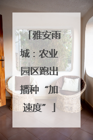 雅安雨城：农业园区跑出播种“加速度”