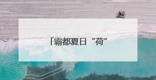 霸都夏日“荷”其美？解锁合肥五大绝美荷塘