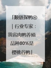 顺链探鸭④｜行业专家：我省肉鸭养殖品种80%是樱桃谷鸭