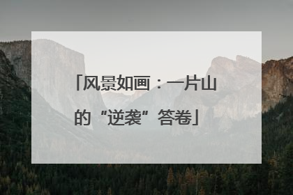 风景如画：一片山的“逆袭”答卷
