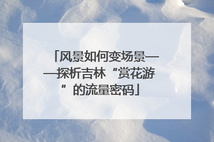 风景如何变场景——探析吉林“赏花游”的流量密码