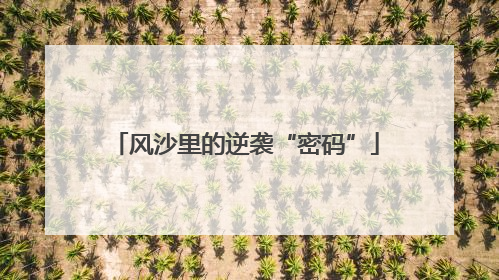 风沙里的逆袭“密码”
