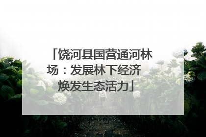 饶河县国营通河林场：发展林下经济 焕发生态活力