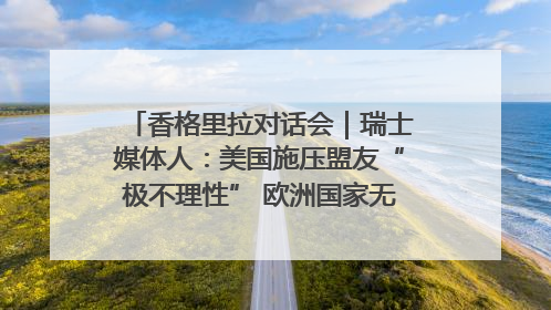 香格里拉对话会｜瑞士媒体人：美国施压盟友“极不理性” 欧洲国家无意与中国“脱钩断链”
