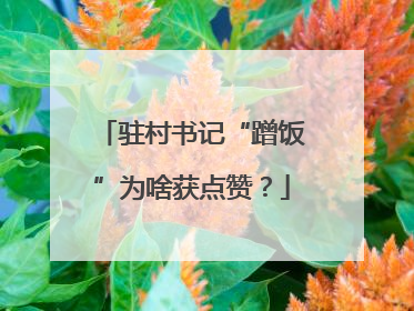 驻村书记“蹭饭”为啥获点赞？