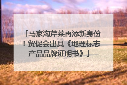 马家沟芹菜再添新身份！贸促会出具《地理标志产品品牌证明书》