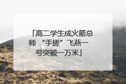 高二学生成火箭总师 “手搓”飞燕一号突破一万米