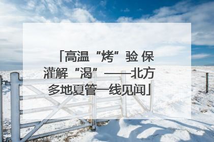 高温“烤”验 保灌解“渴”——北方多地夏管一线见闻