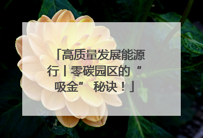 高质量发展能源行丨零碳园区的“吸金” 秘诀！