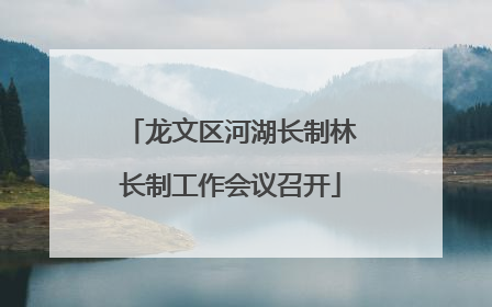 龙文区河湖长制林长制工作会议召开