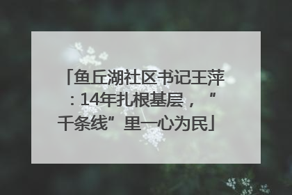 鱼丘湖社区书记王萍：14年扎根基层，“千条线”里一心为民