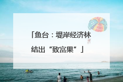 鱼台：堤岸经济林结出“致富果”
