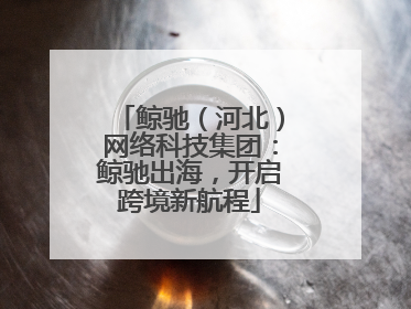 鲸驰（河北）网络科技集团：鲸驰出海，开启跨境新航程