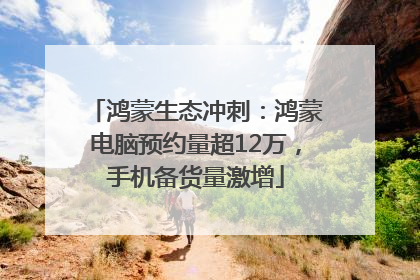 鸿蒙生态冲刺：鸿蒙电脑预约量超12万，手机备货量激增