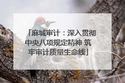 麻城审计：深入贯彻中央八项规定精神 筑牢审计质量生命线