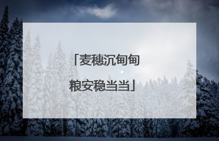 麦穗沉甸甸 粮安稳当当