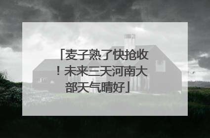 麦子熟了快抢收！未来三天河南大部天气晴好