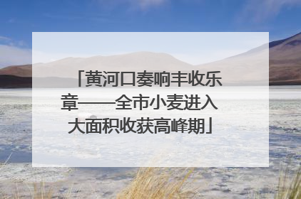 黄河口奏响丰收乐章——全市小麦进入大面积收获高峰期