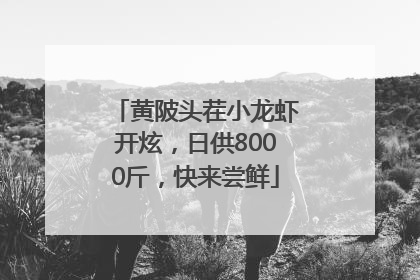 黄陂头茬小龙虾开炫，日供8000斤，快来尝鲜