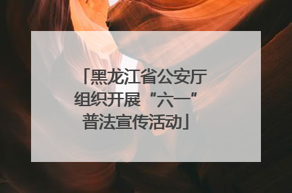 黑龙江省公安厅组织开展“六一”普法宣传活动
