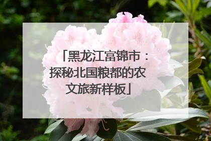 黑龙江富锦市：探秘北国粮都的农文旅新样板
