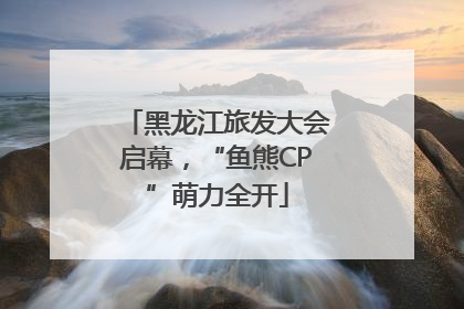 黑龙江旅发大会启幕，“鱼熊CP”萌力全开
