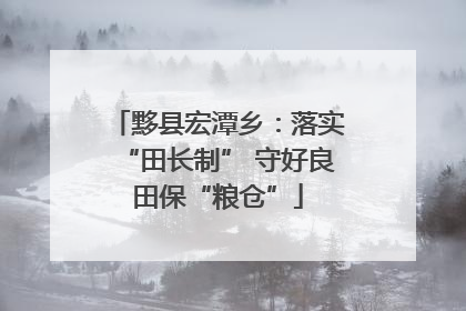 黟县宏潭乡：落实“田长制” 守好良田保“粮仓”
