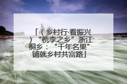 （乡村行·看振兴）“槜李之乡”浙江桐乡：“千年名果”铺就乡村共富路