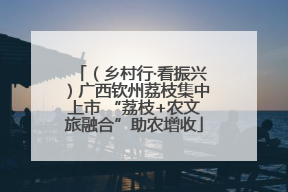 （乡村行·看振兴）广西钦州荔枝集中上市 “荔枝+农文旅融合”助农增收