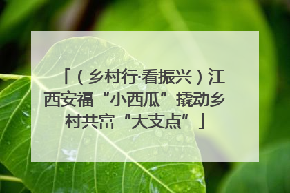 （乡村行·看振兴）江西安福“小西瓜”撬动乡村共富“大支点”