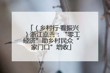 （乡村行·看振兴）浙江嘉善：“零工经济”助乡村民众“家门口”增收