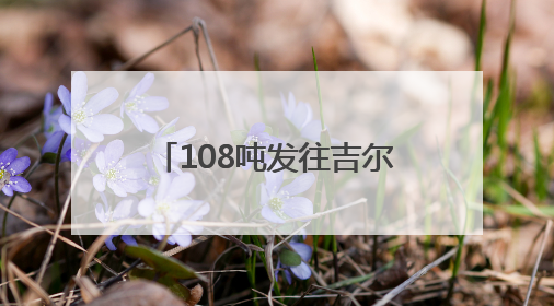 108吨发往吉尔吉斯斯坦 湖北鲜桃今年首次出口