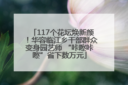 117个花坛焕新颜！华容临江乡干部群众变身园艺师 “咔嚓咔嚓”省下数万元