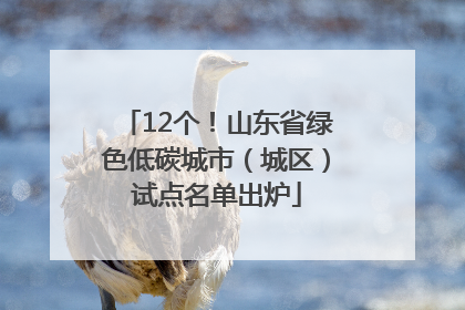 12个！山东省绿色低碳城市（城区）试点名单出炉