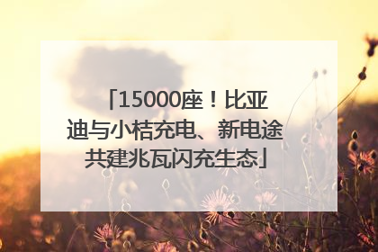 15000座！比亚迪与小桔充电、新电途共建兆瓦闪充生态