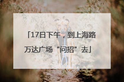 17日下午，到上海路万达广场“问招”去
