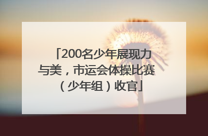 200名少年展现力与美，市运会体操比赛（少年组）收官