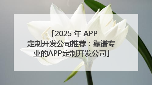 2025 年 APP 定制开发公司推荐：靠谱专业的APP定制开发公司