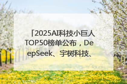 2025AI科技小巨人TOP50榜单公布，DeepSeek、宇树科技、蘑菇车联等企业荣誉上榜