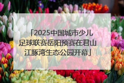 2025中国城市少儿足球联赛岳阳预赛在君山江豚湾生态公园开幕