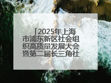 2025年上海市浦东新区社会组织高质量发展大会暨第二届长三角社会组织高质量发展峰会成功举办