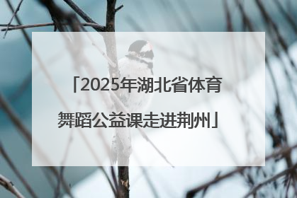 2025年湖北省体育舞蹈公益课走进荆州