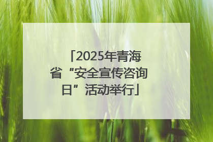 2025年青海省“安全宣传咨询日”活动举行